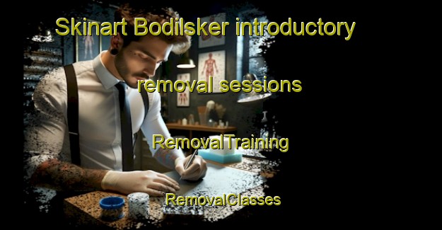 Skinart Bodilsker introductory removal sessions | RemovalTraining | RemovalClasses | SkinartTraining-Denmark