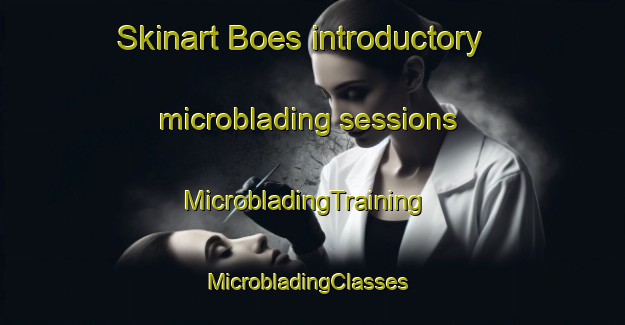 Skinart Boes introductory microblading sessions | MicrobladingTraining | MicrobladingClasses | SkinartTraining-Denmark