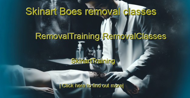 Skinart Boes removal classes | #RemovalTraining #RemovalClasses #SkinartTraining-Denmark