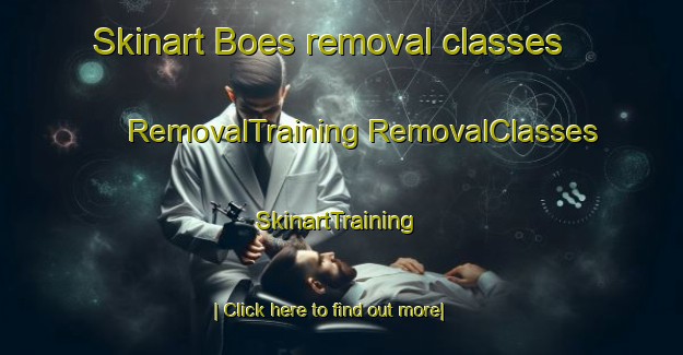 Skinart Boes removal classes | #RemovalTraining #RemovalClasses #SkinartTraining-Denmark