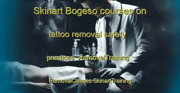 Skinart Bogeso courses on tattoo removal safety practices | #RemovalTraining #RemovalClasses #SkinartTraining-Denmark