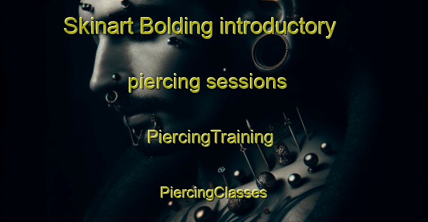 Skinart Bolding introductory piercing sessions | #PiercingTraining #PiercingClasses #SkinartTraining-Denmark