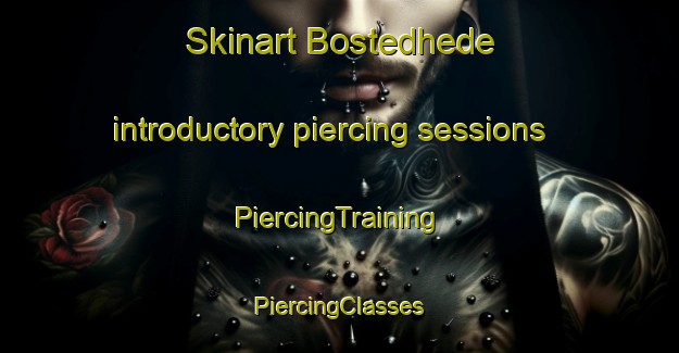 Skinart Bostedhede introductory piercing sessions | #PiercingTraining #PiercingClasses #SkinartTraining-Denmark