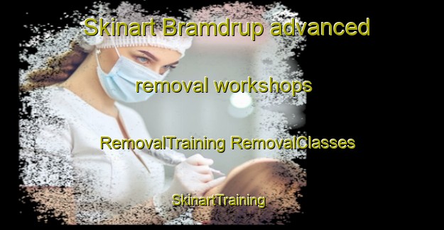 Skinart Bramdrup advanced removal workshops | #RemovalTraining #RemovalClasses #SkinartTraining-Denmark