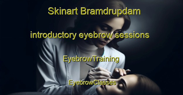 Skinart Bramdrupdam introductory eyebrow sessions | EyebrowTraining | EyebrowClasses | SkinartTraining-Denmark