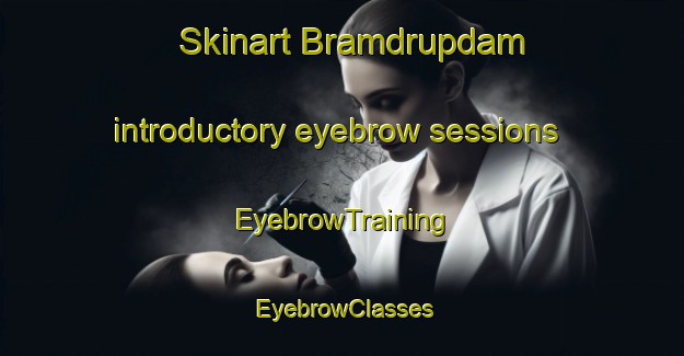 Skinart Bramdrupdam introductory eyebrow sessions | EyebrowTraining | EyebrowClasses | SkinartTraining-Denmark