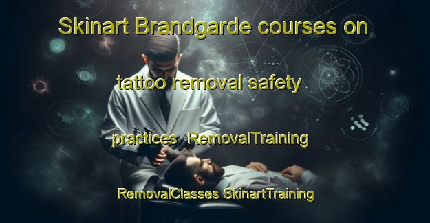 Skinart Brandgarde courses on tattoo removal safety practices | #RemovalTraining #RemovalClasses #SkinartTraining-Denmark