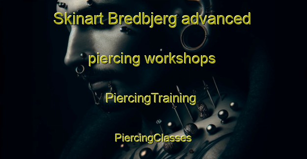 Skinart Bredbjerg advanced piercing workshops | #PiercingTraining #PiercingClasses #SkinartTraining-Denmark