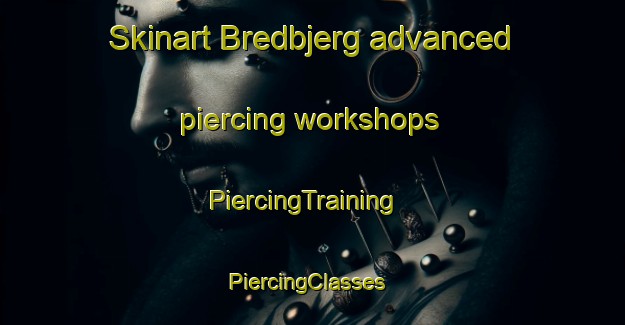 Skinart Bredbjerg advanced piercing workshops | PiercingTraining | PiercingClasses | SkinartTraining-Denmark