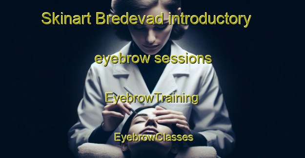 Skinart Bredevad introductory eyebrow sessions | EyebrowTraining | EyebrowClasses | SkinartTraining-Denmark