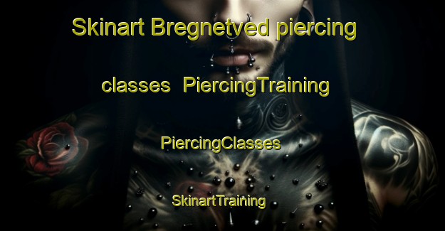 Skinart Bregnetved piercing classes | #PiercingTraining #PiercingClasses #SkinartTraining-Denmark