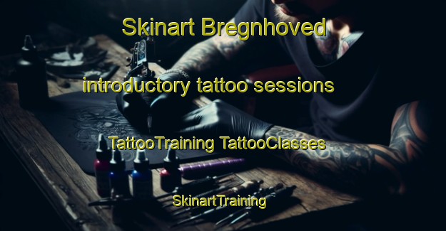 Skinart Bregnhoved introductory tattoo sessions | #TattooTraining #TattooClasses #SkinartTraining-Denmark