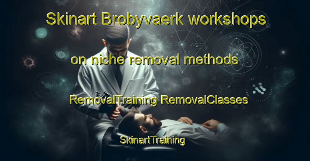 Skinart Brobyvaerk workshops on niche removal methods | #RemovalTraining #RemovalClasses #SkinartTraining-Denmark