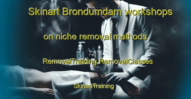 Skinart Brondumdam workshops on niche removal methods | #RemovalTraining #RemovalClasses #SkinartTraining-Denmark