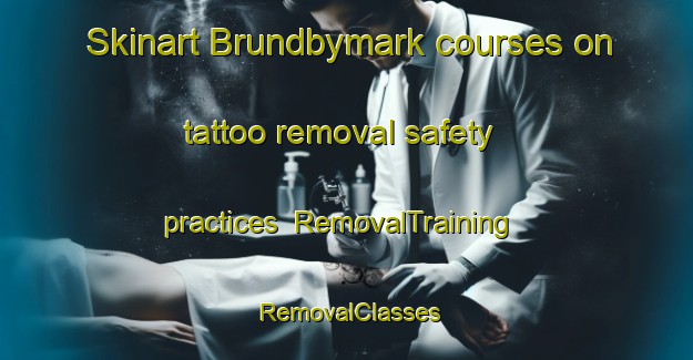 Skinart Brundbymark courses on tattoo removal safety practices | RemovalTraining | RemovalClasses | SkinartTraining-Denmark