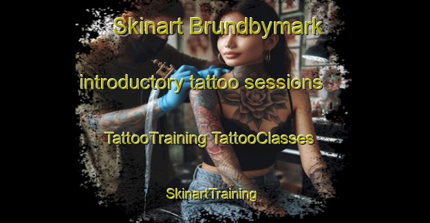 Skinart Brundbymark introductory tattoo sessions | #TattooTraining #TattooClasses #SkinartTraining-Denmark