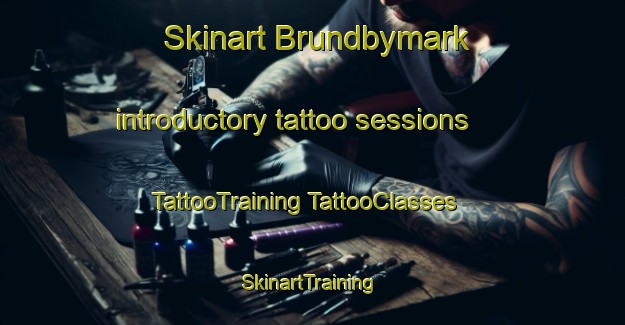 Skinart Brundbymark introductory tattoo sessions | #TattooTraining #TattooClasses #SkinartTraining-Denmark