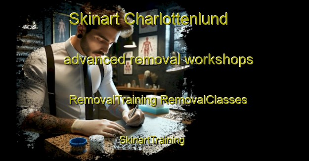 Skinart Charlottenlund advanced removal workshops | #RemovalTraining #RemovalClasses #SkinartTraining-Denmark