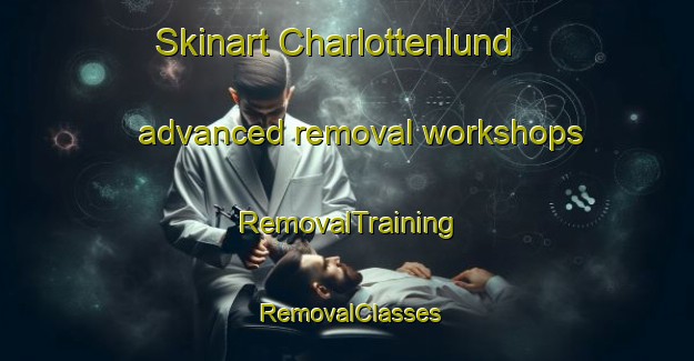 Skinart Charlottenlund advanced removal workshops | RemovalTraining | RemovalClasses | SkinartTraining-Denmark