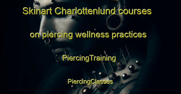 Skinart Charlottenlund courses on piercing wellness practices | #PiercingTraining #PiercingClasses #SkinartTraining-Denmark