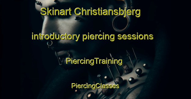 Skinart Christiansbjerg introductory piercing sessions | #PiercingTraining #PiercingClasses #SkinartTraining-Denmark