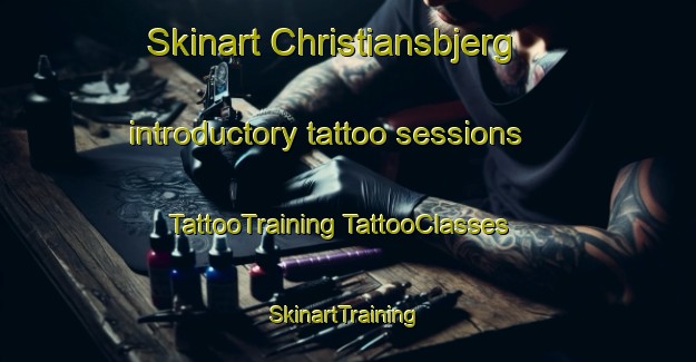 Skinart Christiansbjerg introductory tattoo sessions | #TattooTraining #TattooClasses #SkinartTraining-Denmark