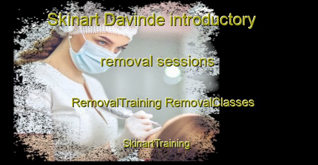 Skinart Davinde introductory removal sessions | #RemovalTraining #RemovalClasses #SkinartTraining-Denmark