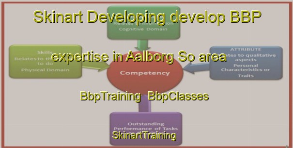 Skinart Developing develop BBP expertise in Aalborg So area | BbpTraining | BbpClasses | SkinartTraining-Denmark