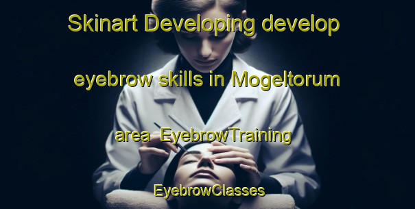 Skinart Developing develop eyebrow skills in Mogeltorum area | EyebrowTraining | EyebrowClasses | SkinartTraining-Denmark