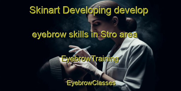 Skinart Developing develop eyebrow skills in Stro area | EyebrowTraining | EyebrowClasses | SkinartTraining-Denmark