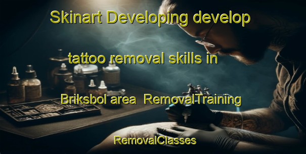 Skinart Developing develop tattoo removal skills in Briksbol area | RemovalTraining | RemovalClasses | SkinartTraining-Denmark