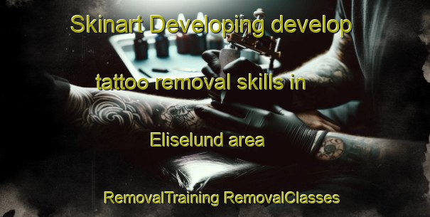 Skinart Developing develop tattoo removal skills in Eliselund area | #RemovalTraining #RemovalClasses #SkinartTraining-Denmark