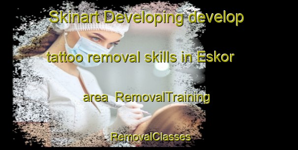 Skinart Developing develop tattoo removal skills in Eskor area | RemovalTraining | RemovalClasses | SkinartTraining-Denmark