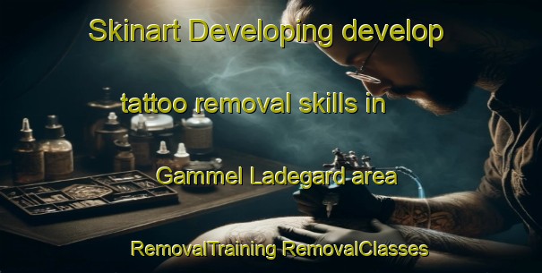 Skinart Developing develop tattoo removal skills in Gammel Ladegard area | #RemovalTraining #RemovalClasses #SkinartTraining-Denmark