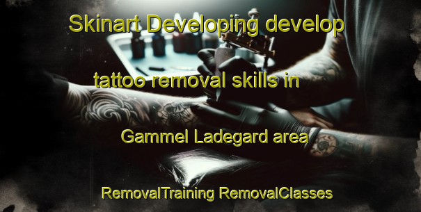 Skinart Developing develop tattoo removal skills in Gammel Ladegard area | #RemovalTraining #RemovalClasses #SkinartTraining-Denmark