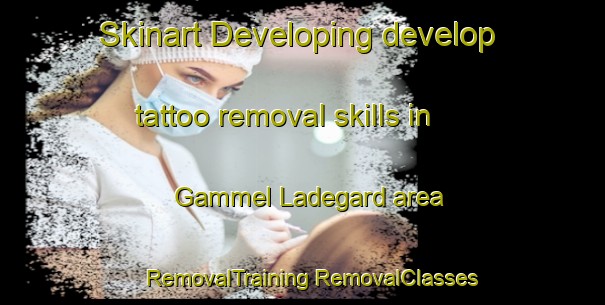 Skinart Developing develop tattoo removal skills in Gammel Ladegard area | #RemovalTraining #RemovalClasses #SkinartTraining-Denmark