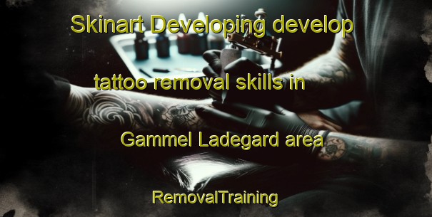 Skinart Developing develop tattoo removal skills in Gammel Ladegard area | RemovalTraining | RemovalClasses | SkinartTraining-Denmark