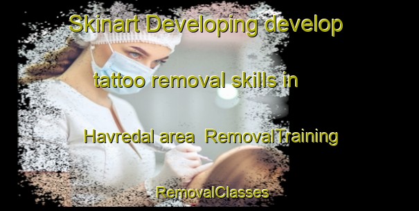 Skinart Developing develop tattoo removal skills in Havredal area | RemovalTraining | RemovalClasses | SkinartTraining-Denmark