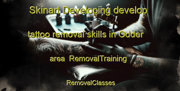 Skinart Developing develop tattoo removal skills in Odder area | RemovalTraining | RemovalClasses | SkinartTraining-Denmark