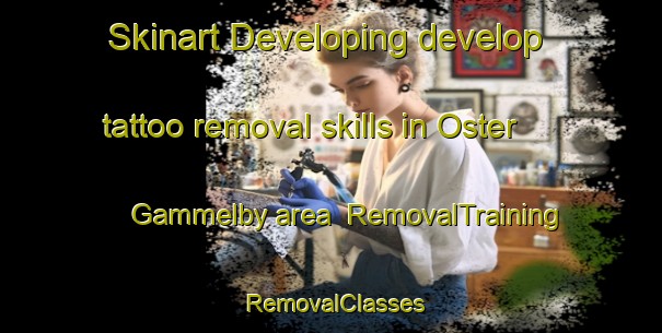 Skinart Developing develop tattoo removal skills in Oster Gammelby area | RemovalTraining | RemovalClasses | SkinartTraining-Denmark