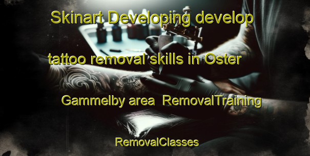 Skinart Developing develop tattoo removal skills in Oster Gammelby area | RemovalTraining | RemovalClasses | SkinartTraining-Denmark