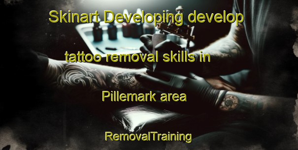 Skinart Developing develop tattoo removal skills in Pillemark area | RemovalTraining | RemovalClasses | SkinartTraining-Denmark