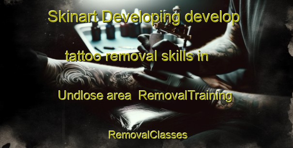 Skinart Developing develop tattoo removal skills in Undlose area | RemovalTraining | RemovalClasses | SkinartTraining-Denmark