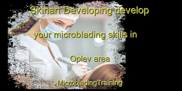 Skinart Developing develop your microblading skills in Oplev area | #MicrobladingTraining #MicrobladingClasses #SkinartTraining-Denmark