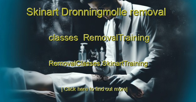 Skinart Dronningmolle removal classes | #RemovalTraining #RemovalClasses #SkinartTraining-Denmark