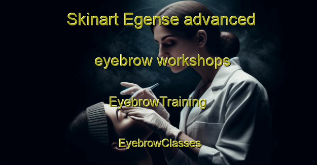 Skinart Egense advanced eyebrow workshops | EyebrowTraining | EyebrowClasses | SkinartTraining-Denmark