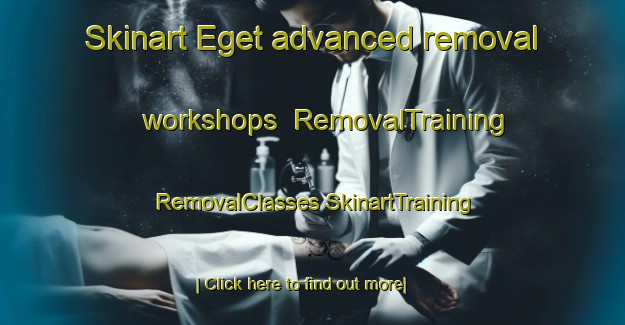 Skinart Eget advanced removal workshops | #RemovalTraining #RemovalClasses #SkinartTraining-Denmark