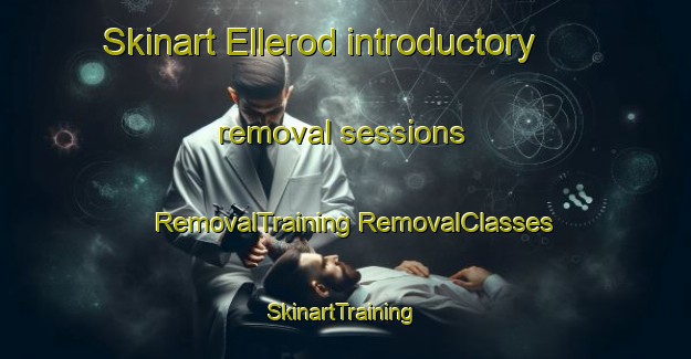 Skinart Ellerod introductory removal sessions | #RemovalTraining #RemovalClasses #SkinartTraining-Denmark