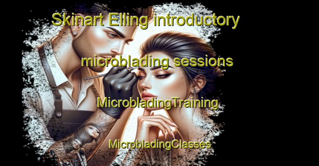 Skinart Elling introductory microblading sessions | #MicrobladingTraining #MicrobladingClasses #SkinartTraining-Denmark