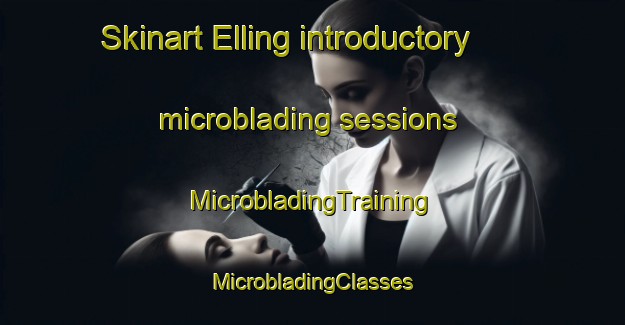 Skinart Elling introductory microblading sessions | #MicrobladingTraining #MicrobladingClasses #SkinartTraining-Denmark